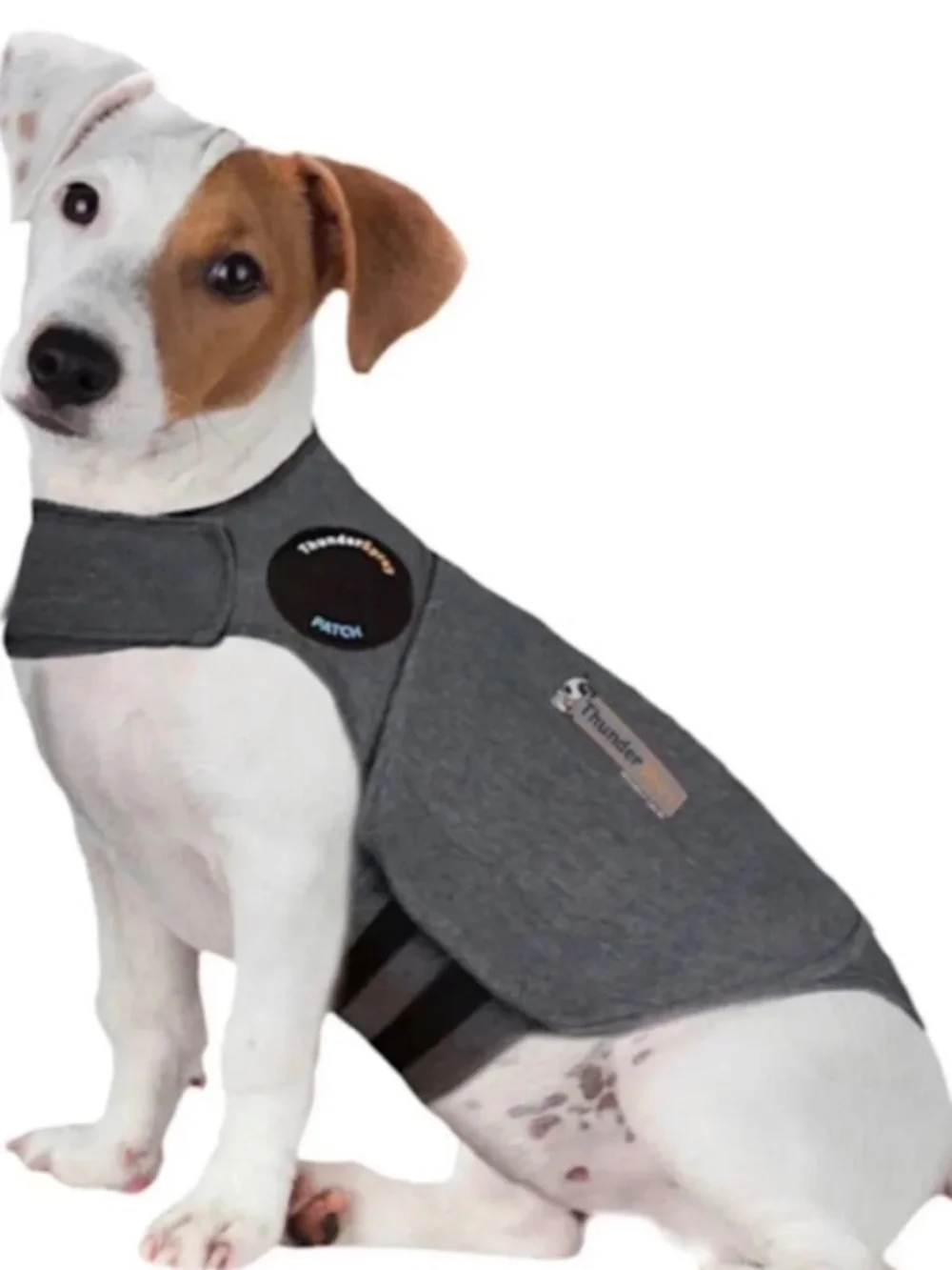 Thunder shirt anxiety, reduction, shirt med